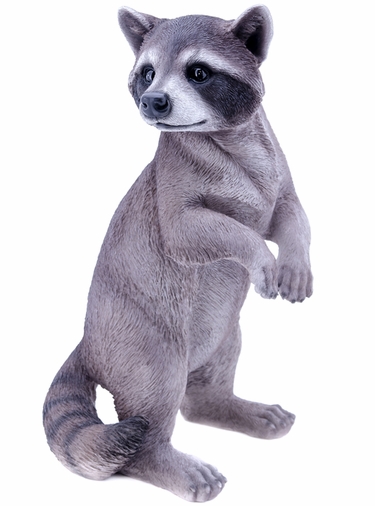 Raccoon Statue - Upright 