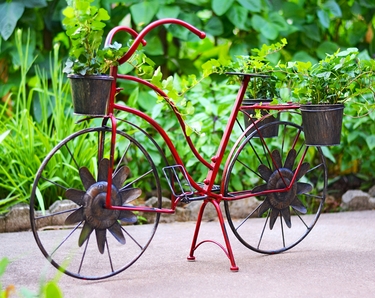 Red Bicycle Planter - Click to enlarge