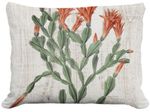 Red Cactus Flower 1 Outdoor Pillow