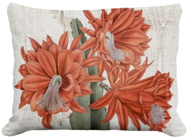 Red Cactus Flower 2 Outdoor Pillow - Click to enlarge