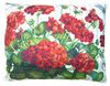 Red Geranium/White Outdoor Pillow