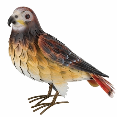 Red Tail Hawk Decor - Click to enlarge