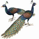 Roaming Peacocks (Set of 2)