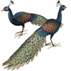 Roaming Peacocks (Set of 2)