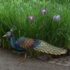 Majestic Peacock Statue - Roaming