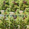 Set of 6 Rocking Animals Stakes