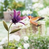 Rufous Hummingbird Stake