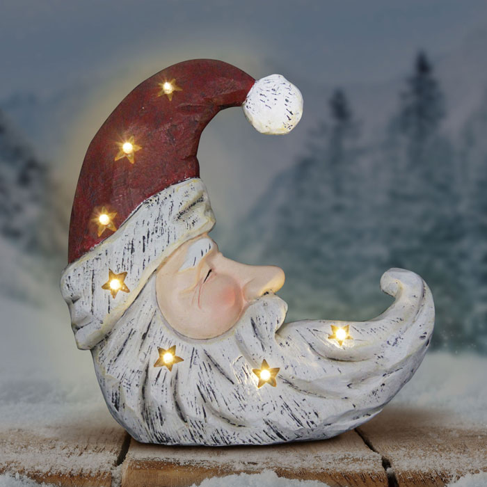 アスティエ　クリスマスオーナメント　WINTER S MOON アスティエ・ド・ヴィラットのオーナメント - 刺繍作家のBlog