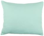 Seafoam Green Outdoor Pillow