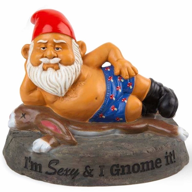 Sexy Gnome - Click to enlarge