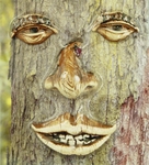 Sleepy Tree Face
