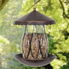 Solar Bronze Bird Feeder - Diamond Glass