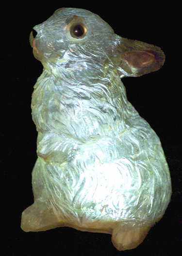 Solar Bunny Rabbit - Click to enlarge