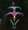 Solar Butterfly Fountain Stake (Set of 2)