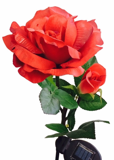 Solar Flower - Red Rose - Click to enlarge