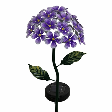 Hydrangea4937　0602 Monrovia Pink Strawberry Shake Hydrangea Flowering Shrub in