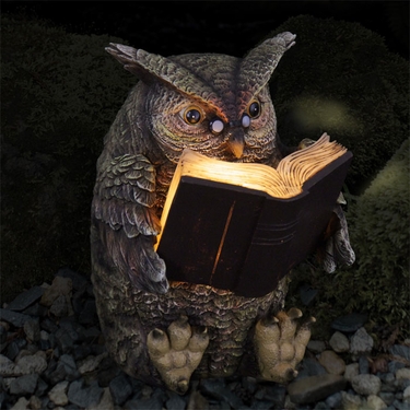 Solar Owl Reading Book - Click to enlarge