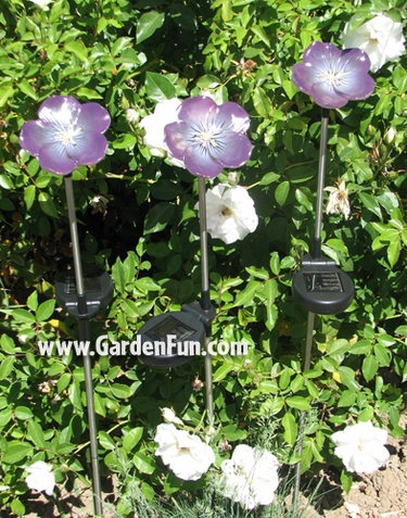 Solar Powered Garden Violets (Set of 3) - Click to enlarge