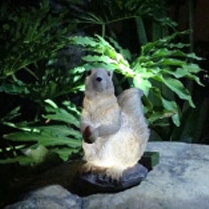Solar Squirrel Light - Click to enlarge