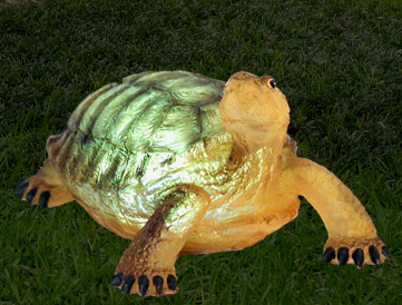 Solar Turtle - Click to enlarge