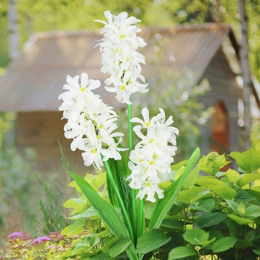 Solar White Fabric Lilac Stake - Click to enlarge