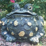 Super Duper Toad Statuary - Dark Natural