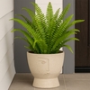 Surrealist Face Planter