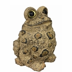 Tall Toad - Light Natural