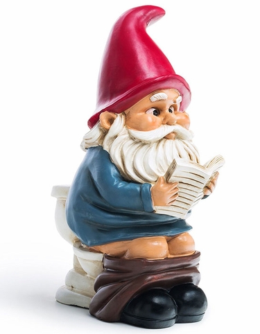 Toilet Gnome - Click to enlarge