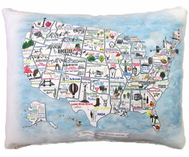 United States Outdoor Pillow - Click to enlarge