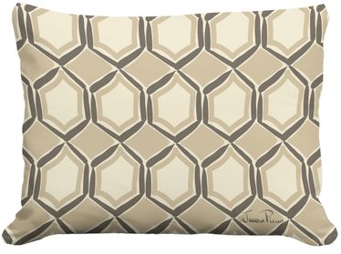 Vintage Mirrors Outdoor Pillow - Click to enlarge