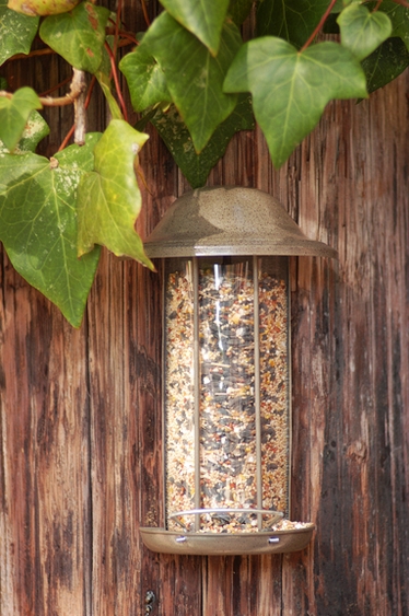Wall Mount Feeder w/Perch - Click to enlarge