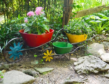 Colorful Wheelbarrow Planters (Set of 3) - Click to enlarge