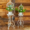 Victorian Birdcage Open Planters (Set of 2) - Antique White