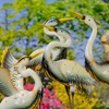 Whooping Crane Metal Garden Birds (Set of 4)