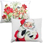 Winter Holiday & Seasonal Pillows