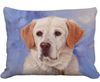 Yellow Labrador Outdoor Pillow