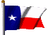 15x25' Nylon Texas Flag