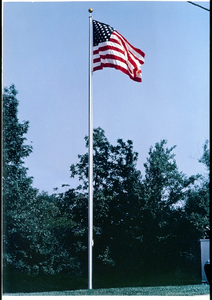 20 Foot Commercial Flag Pole