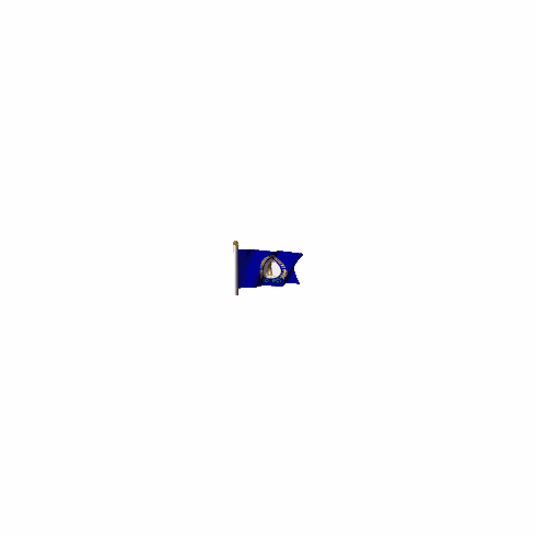 3x5' Fringed Kentucky Indoor Flag