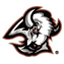 Buffalo Sabres
