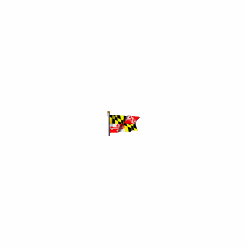 Complete Maryland Presentation set 4x6'