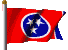 Complete Tennessee Presentation set 3x5'