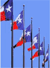 LARGE TEXAS FLAGS