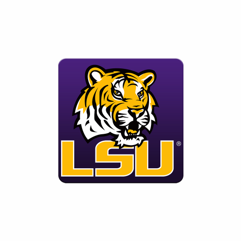LSU 4' x 6' Logo Mat