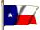 Polyester 8x12' Texas Outdoor