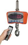 CS Series Electronic Crane Scales