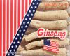 AG122 Long American Ginseng X. Large 4 oz