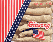 AG122 Long American Ginseng X. Large 4 oz x 11 boxes