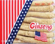 AG123 Long American Ginseng Large 4 oz